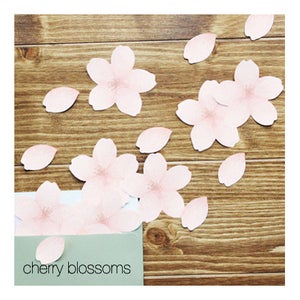 Image of Seeso Spring Flowers Post It Notes Set