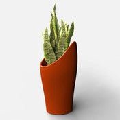 Image of coral planter 900
