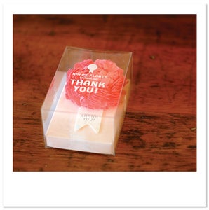 Image of CPlay Happy Flower Carnation