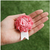 Image of CPlay Happy Flower Carnation