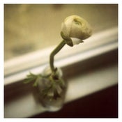 Image of For Sarah – 8"x8" 
