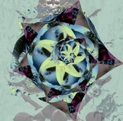 Image of FLOWER - Open Edition Giclee Print - Large