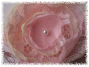 Image of The Lacey
