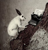 Image of The Writer