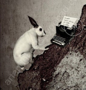 Image of The Writer