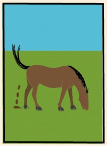 Image of Horse Shit!