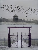Image of Outside  - Auschwitz/Birkenau