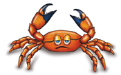 Image of Florida Stoned Crab