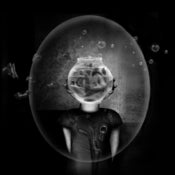 Image of Fish[think]TANK