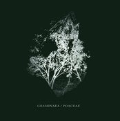 Image of Sequences/Isolated Existence - Graminaea/Poaceae Split CD [MRL08]