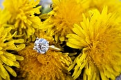 Image of Ring Shots Workshop