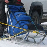 Image of 2010 Pack the Sled