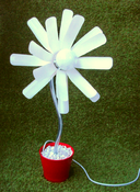 Image of BOTTLE FLOWER LAMP