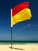 Image of Life Guard Flag
