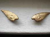 Image of Wing Earrings
