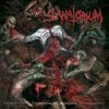 Image of SANATORIUM "Celebration of exhumation" CD