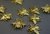 Image of Small Bees or Scarab