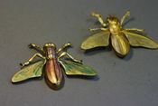 Image of A Giant Flying Insect