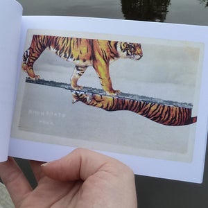 Image of Zine - But I just got here a minute ago (I)