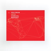 Image of Feltron 2010 Annual Report