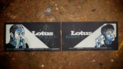 Image of Lotus Tour (NY+DC 2011)