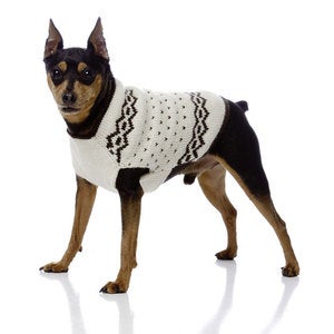 Image of The Baxter ™  in the category  on Uncommon Paws.