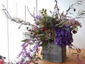 Image of Garden in a Box