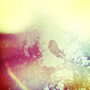 Image of Sure, I'll call this my home. 034