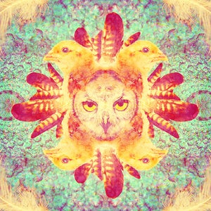 Image of Shaman says. 002