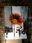 Image of "Daisy stops the traffic" - Regular Edition