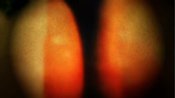 Image of Signed A4 sized C-print - Meaninglessness 5
