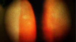 Image of Signed A4 sized C-print - Meaninglessness 5