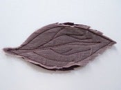 Image of Purple Autumn Leaf