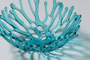 Image of Aqua Nest, small