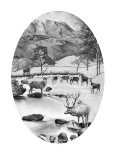 Image of Stags and Hinds