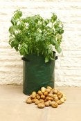 Image of Contenedor para Patatas ( Pack de 3 unidades)
