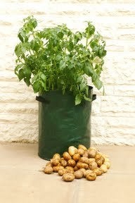 Image of Contenedor para Patatas ( Pack de 3 unidades)