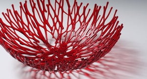 Image of Red Nest, Large