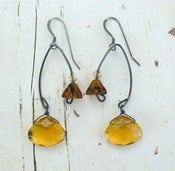 Image of Fishing Lure~ Amber & Tortoise