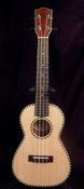 Image of Mainland Solid Spruce/Mahog Concert