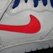 Image of DUNK HI NYLON PREMIUM (PLATINUM)