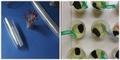 Image of Finger food glasses