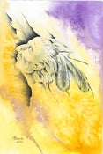 Image of In Dreams, He Flies