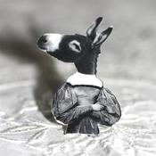 Image of ' Peau d'ane ' Bague plastique
