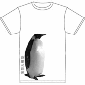 Image of japanese penguin.