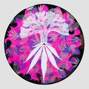 Image of Chea Trees Pink LP