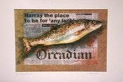 Image of Orcadian Trout - Limited edition mounted print