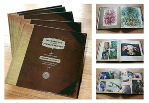 Image of Shadows in the Periphery ~ The Art of Chris Ryniak