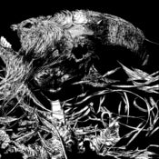 Image of Thieves / Mourner 7" SPLIT - Darkest Regions