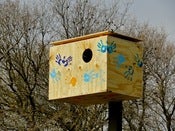 Image of Barn Owl Box Instructions